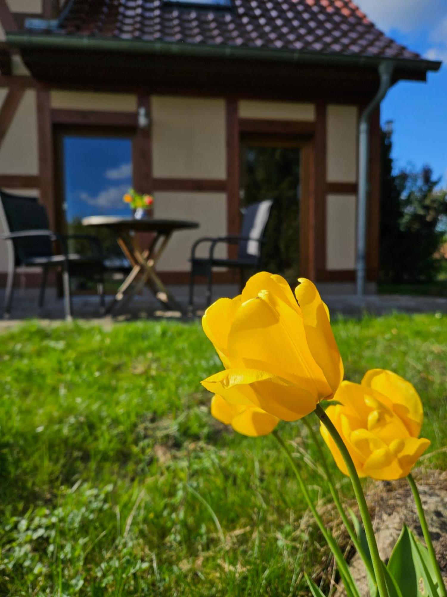 Ferienwohnung Peetsch Am See Mirow Eksteriør billede